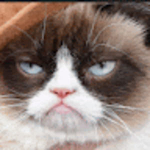 Meet your Posher, Madelyn